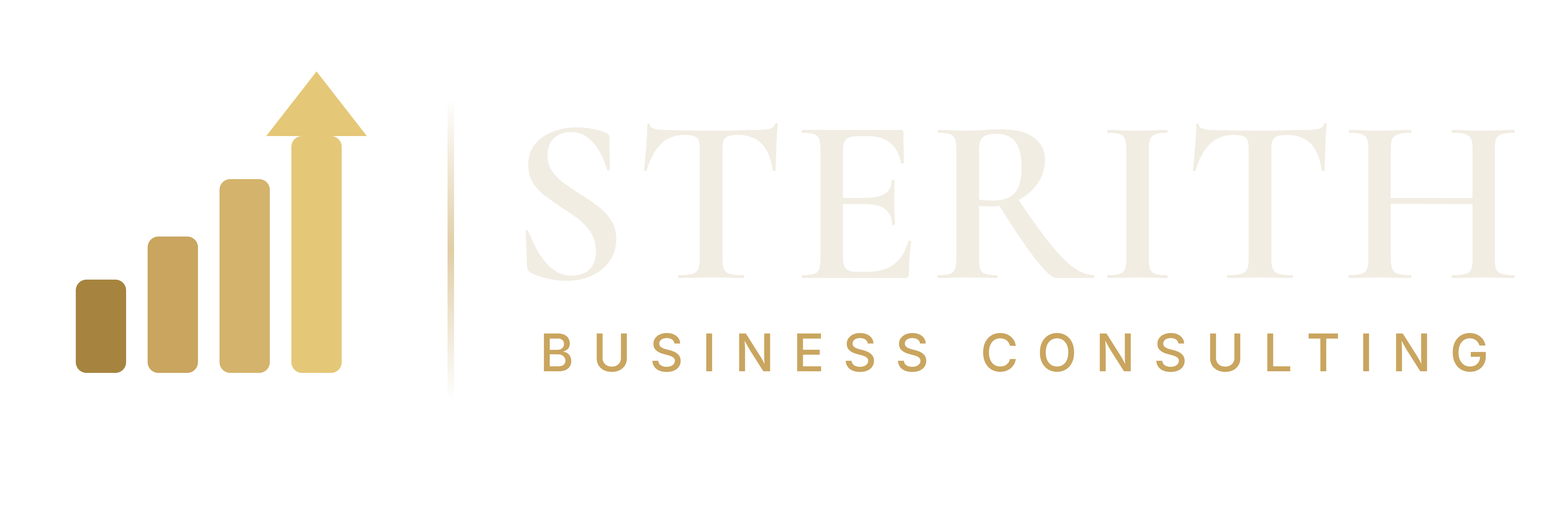 Sterith Business Consulting